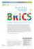 O BRICS - Segurança Social Dinâmica em ação